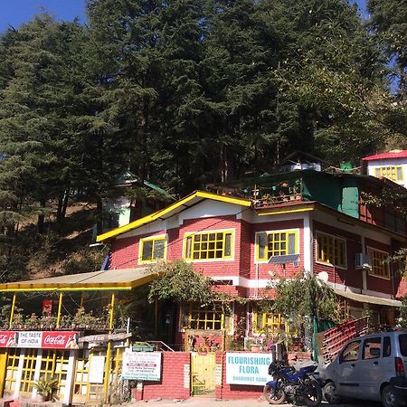 Mcleodganj Bed & Breakfast McLeod Ganj Exteriér fotografie