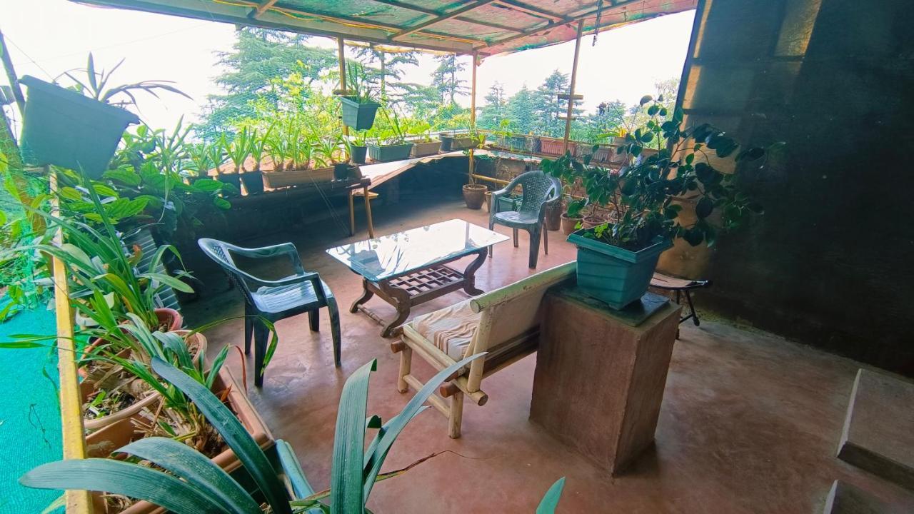 Mcleodganj Bed & Breakfast McLeod Ganj Exteriér fotografie