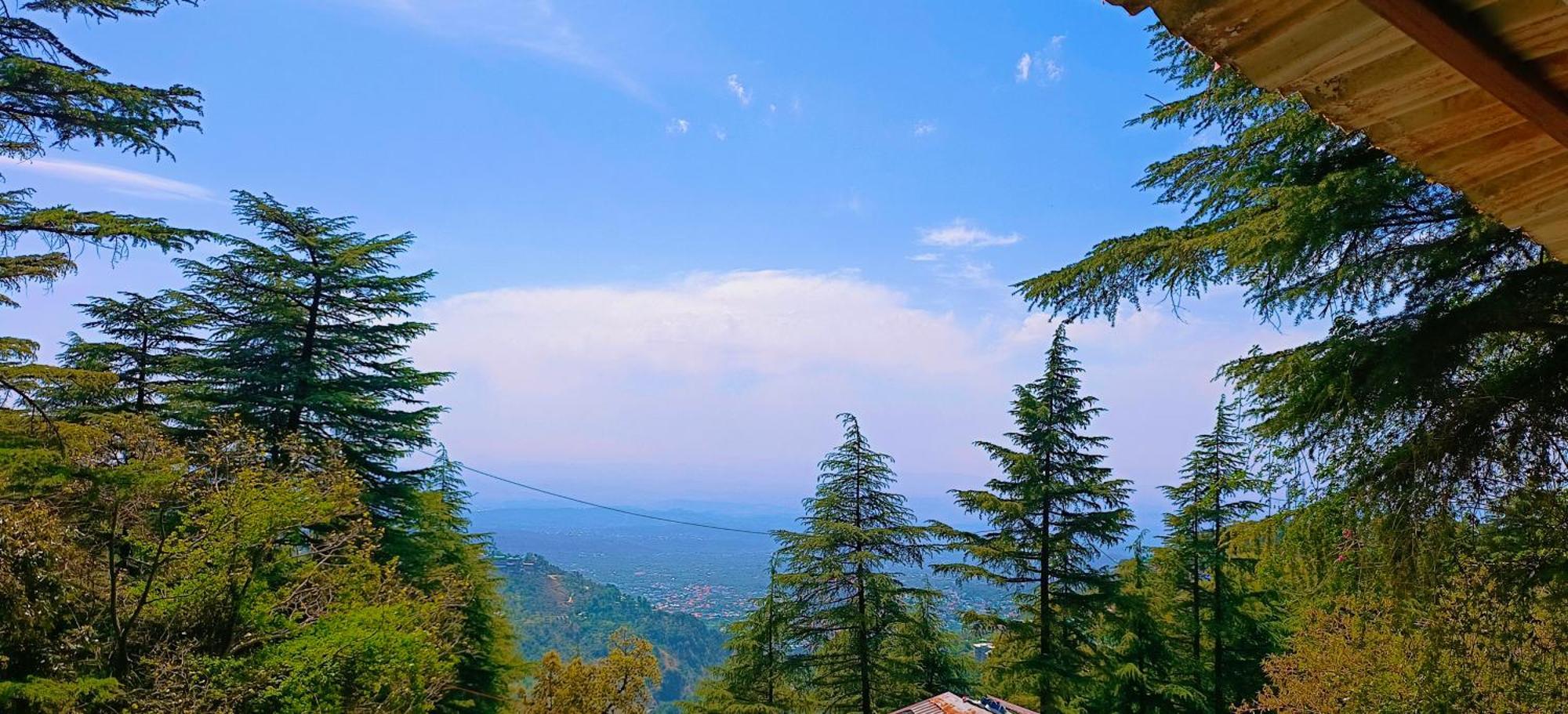 Mcleodganj Bed & Breakfast McLeod Ganj Exteriér fotografie