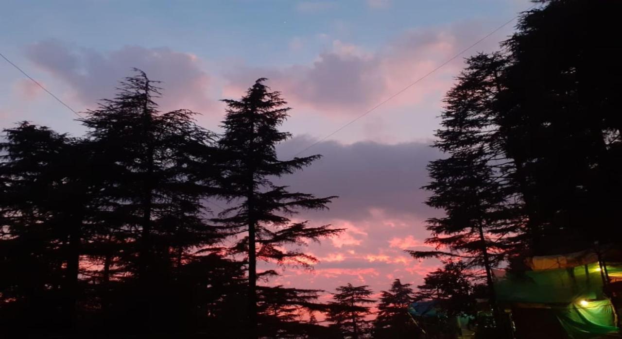 Mcleodganj Bed & Breakfast McLeod Ganj Exteriér fotografie